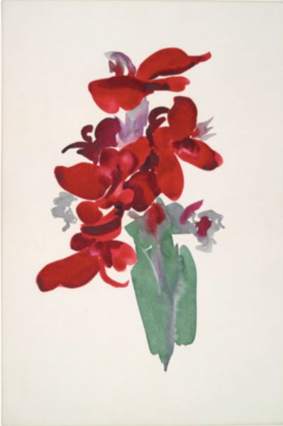 Red Canna – Georgia O’Keeffe, 1919