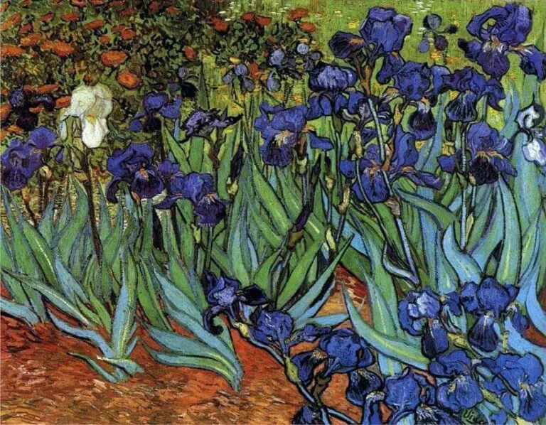 Irises, painted in 1889