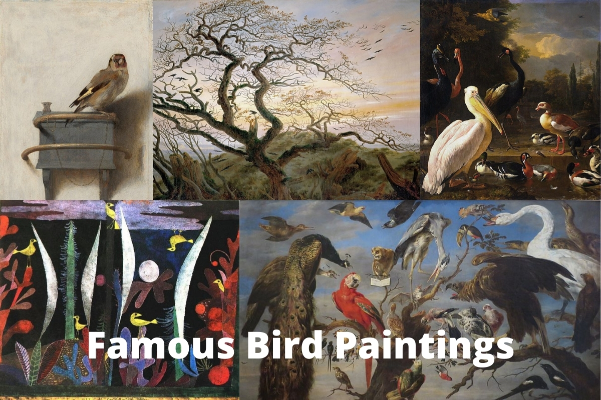 10 Most Famous Bird Paintings - Artst