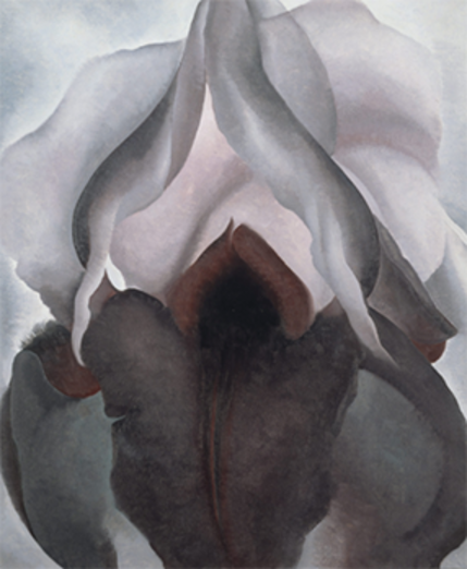 Black Iris - Georgia O'Keeffe