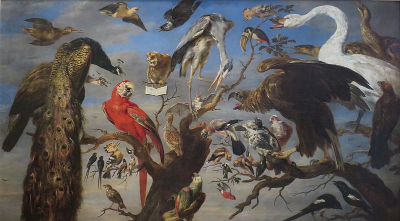 Concert of Birds - Frans Snyders