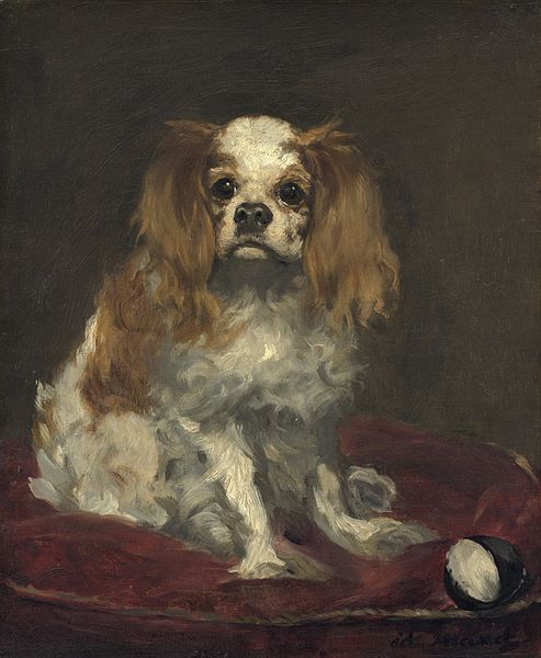 King Charles Spaniel - Manet