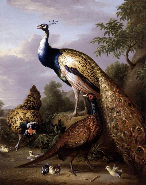 Peacock, Hen and Cock Pheasant in a Landscape - Tobias Stranover