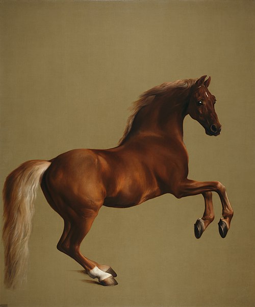 Whistlejacket George Stubbs