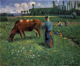 Girl Tending a Cow in Pasture – Camille Pissarro 