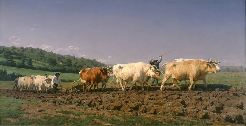 Ploughing in Nevers - Rosa Bonheur