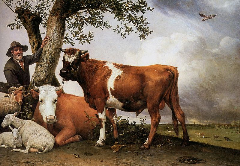 The Young Bull – Paulus Potter