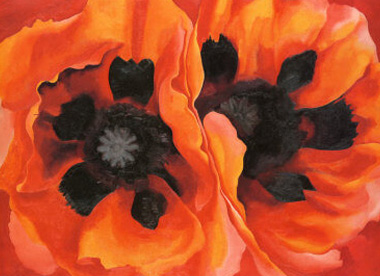 Oriental Poppies