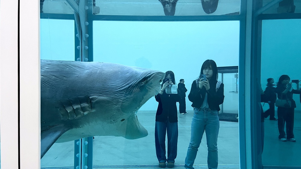 The Physical Impossibility of Death in the Mind of Someone Living – Damien Hirst, 1991