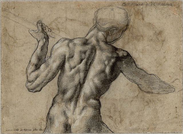 Male Back With a Flag - Michelangelo