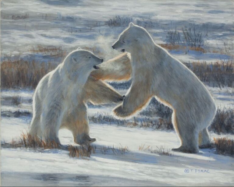 10 Most Famous Wildlife Artists and Painters Artst