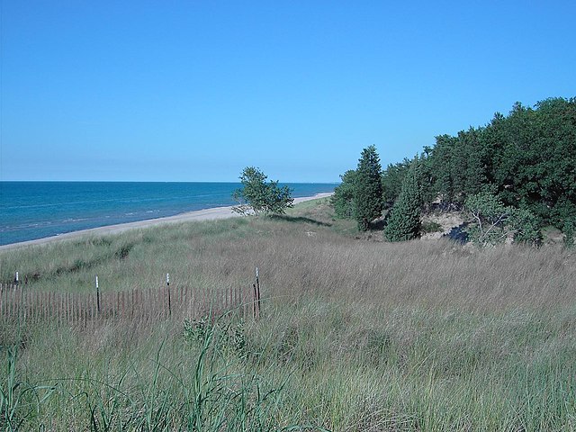 Indiana Dunes State Park