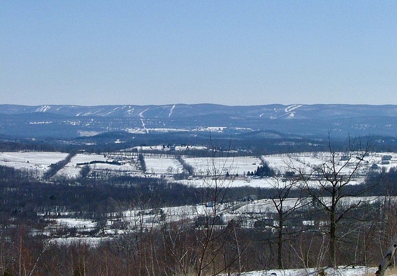 Mountain Creek Resort