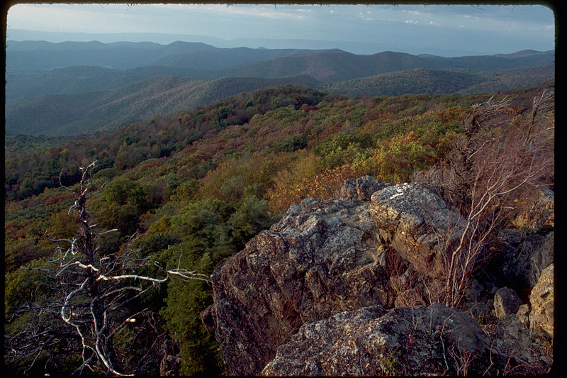 Shenandoah National Park