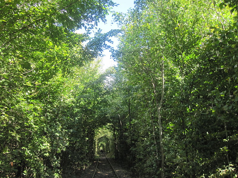 Tunnel of Love