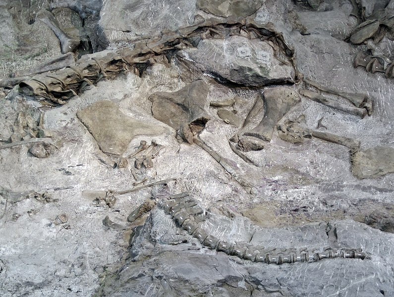 Dinosaur National Monument