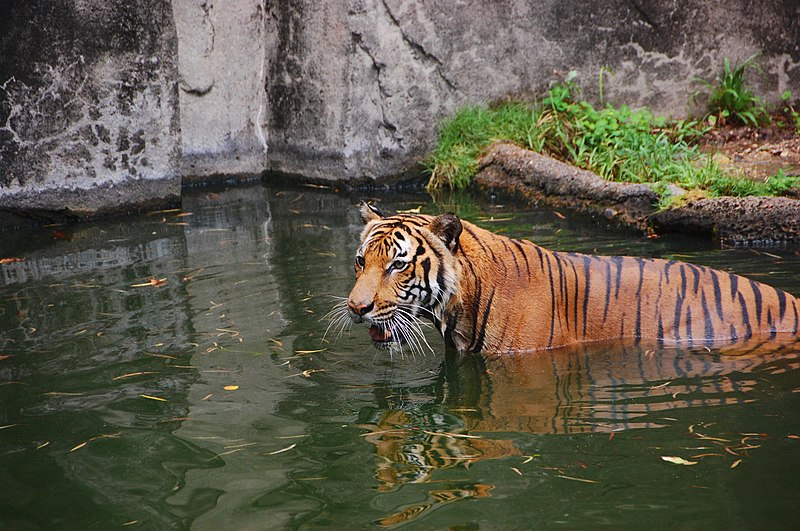 Houston Zoo