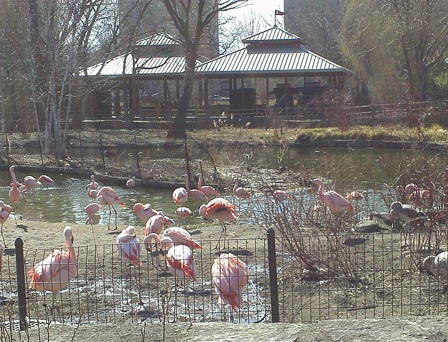 Lincoln Park Zoo