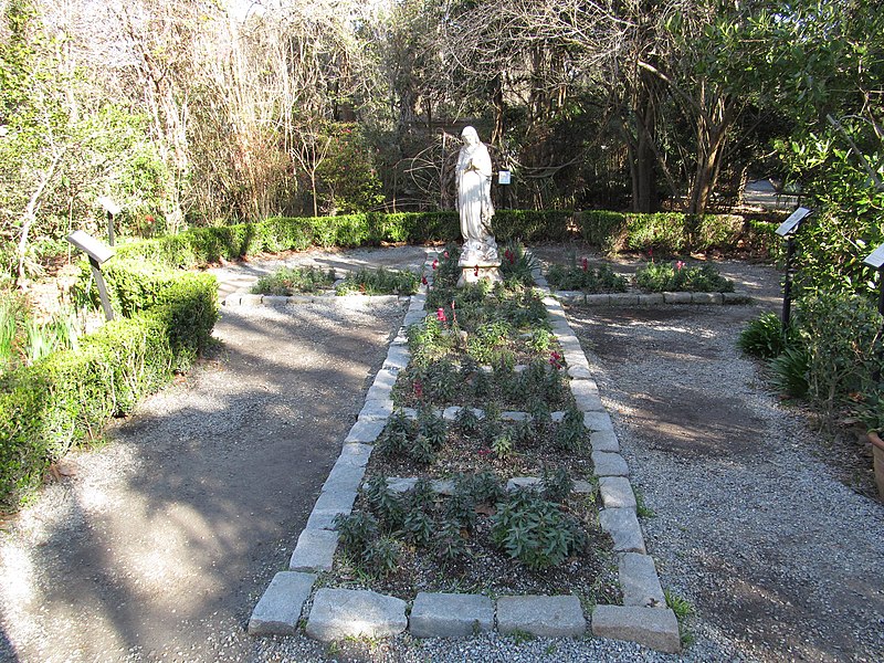Magnolia Plantation and Gardens