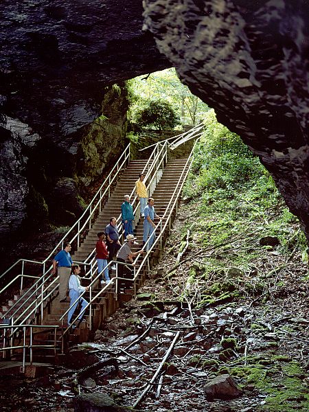 Mammoth Cave National Park