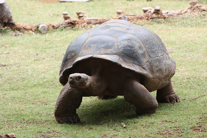Oklahoma City Zoo