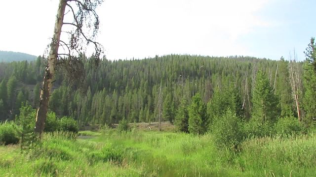 Sawtooth National Forest