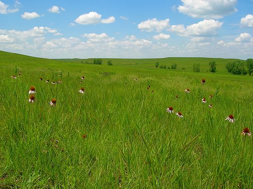 Tallgrass Prairie National Preserve