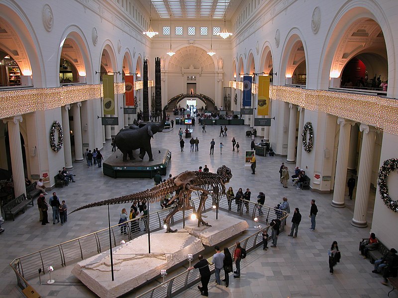 The Field Museum