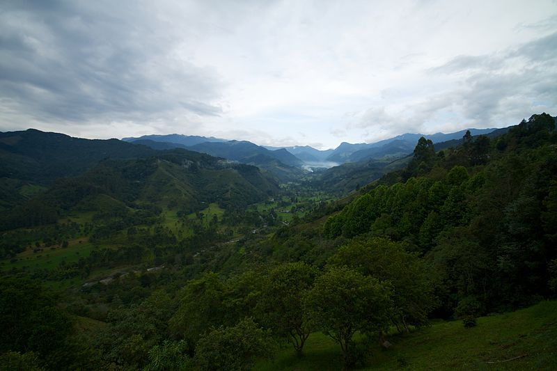 Valle del Cocora