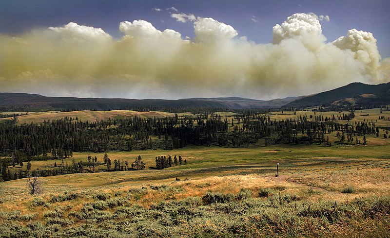 Yellowstone National Park