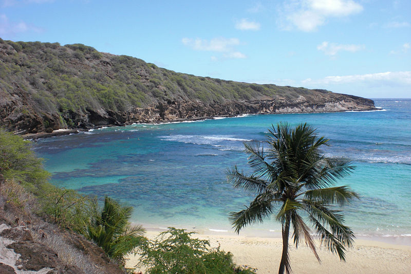 Hanauma Bay