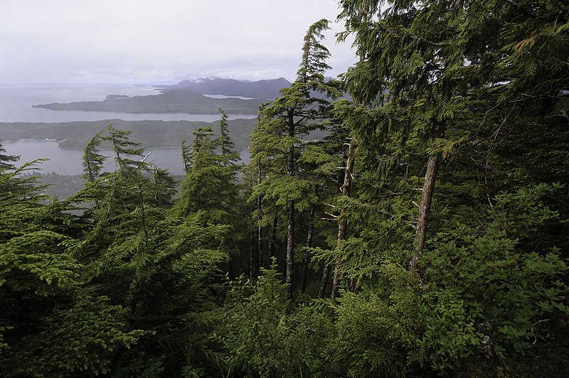Tongass National Forest