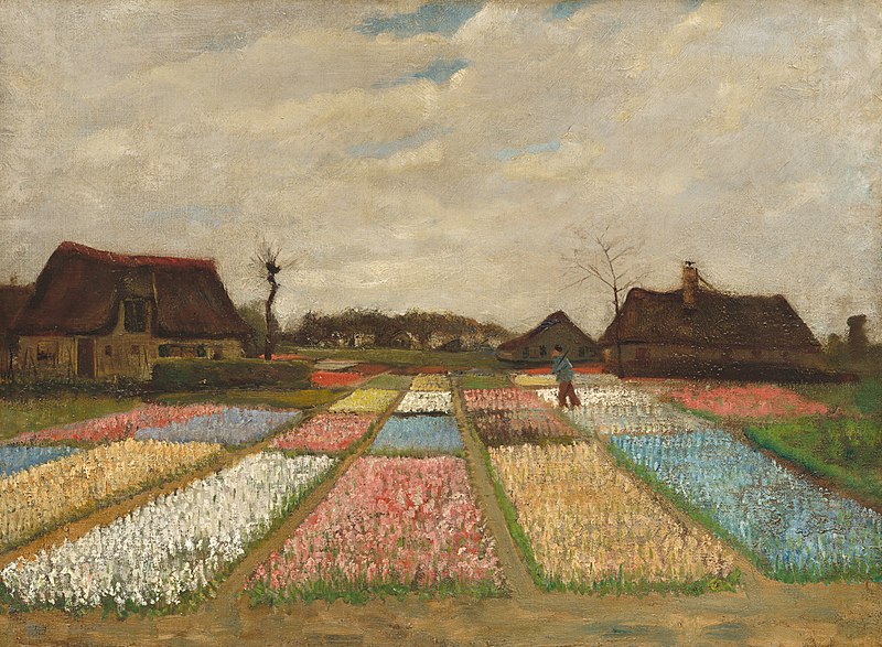 Bulb Fields – Vincent van Gogh