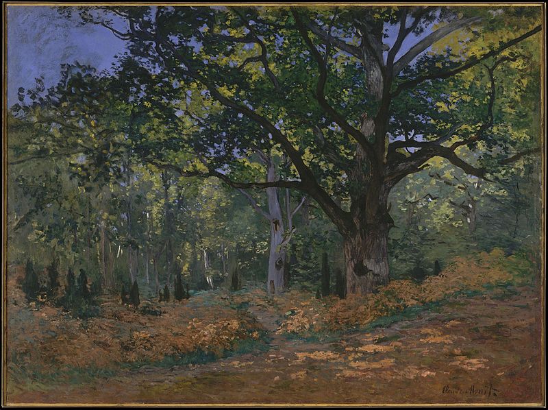 The Bodmer Oak, Fontainebleau Forest - Claude Monet