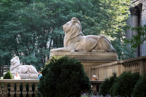 The Lions at the New York Public Library