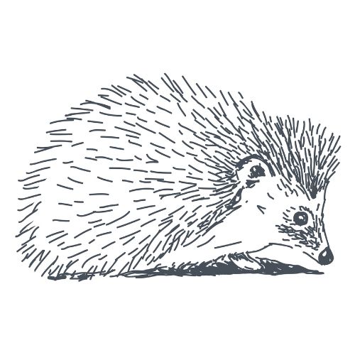 Hedgehog